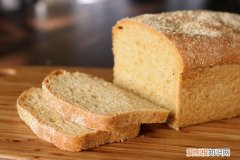 柯基狗可以吃面包吗 狗可以吃面包吗