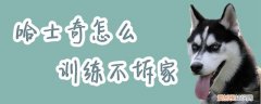 哈士奇怎么训练不拆家，哈士奇怎么能不拆家