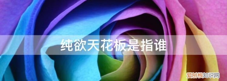 抖音纯欲天花板是什么歌 ，纯欲天花板官方认定？