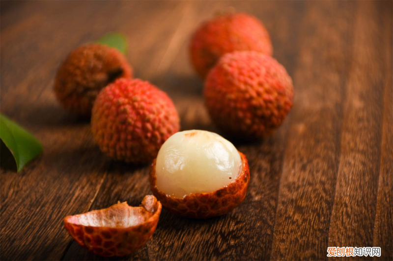 一棵荔枝树能产多少斤果子呢，一棵荔枝树能产多少斤？