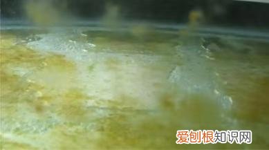 绿水养鱼到底好不好 ，绿水养鱼到底好不好养？