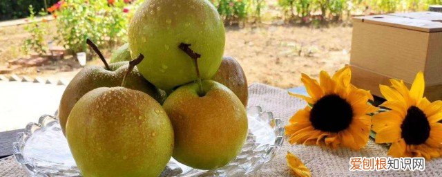 玉露香梨几月份成熟，香梨什么时候成熟