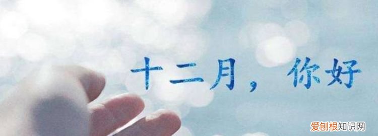 dce是什么月份 ，dc是什么的英文缩写？