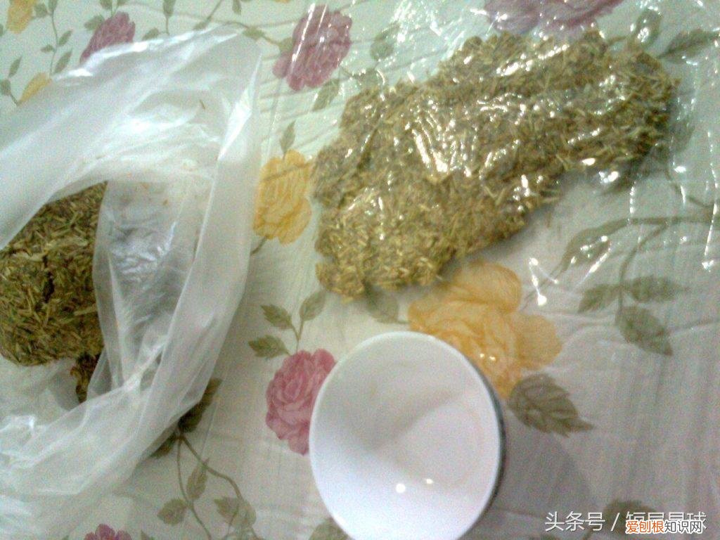 兔子草饼怎么制作方法 ，兔子草饼可以代替草吗？