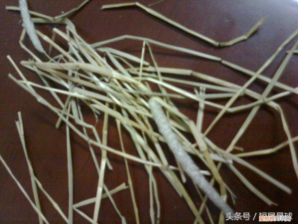 兔子草饼怎么制作方法 ，兔子草饼可以代替草吗？