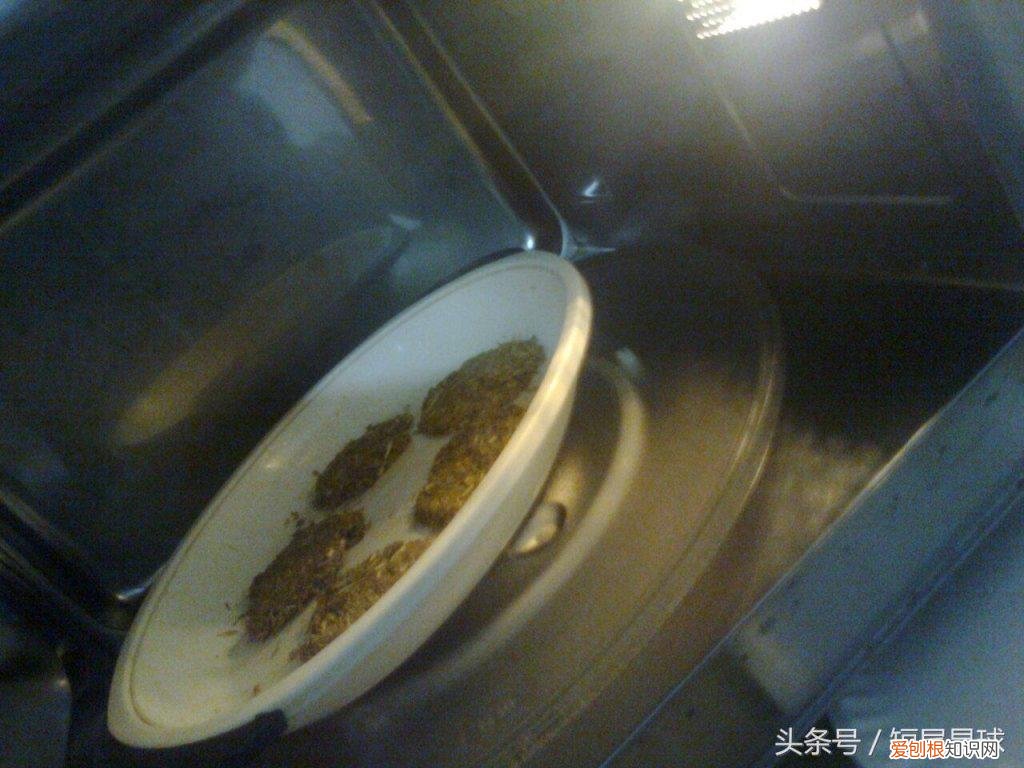 兔子草饼怎么制作方法 ，兔子草饼可以代替草吗？