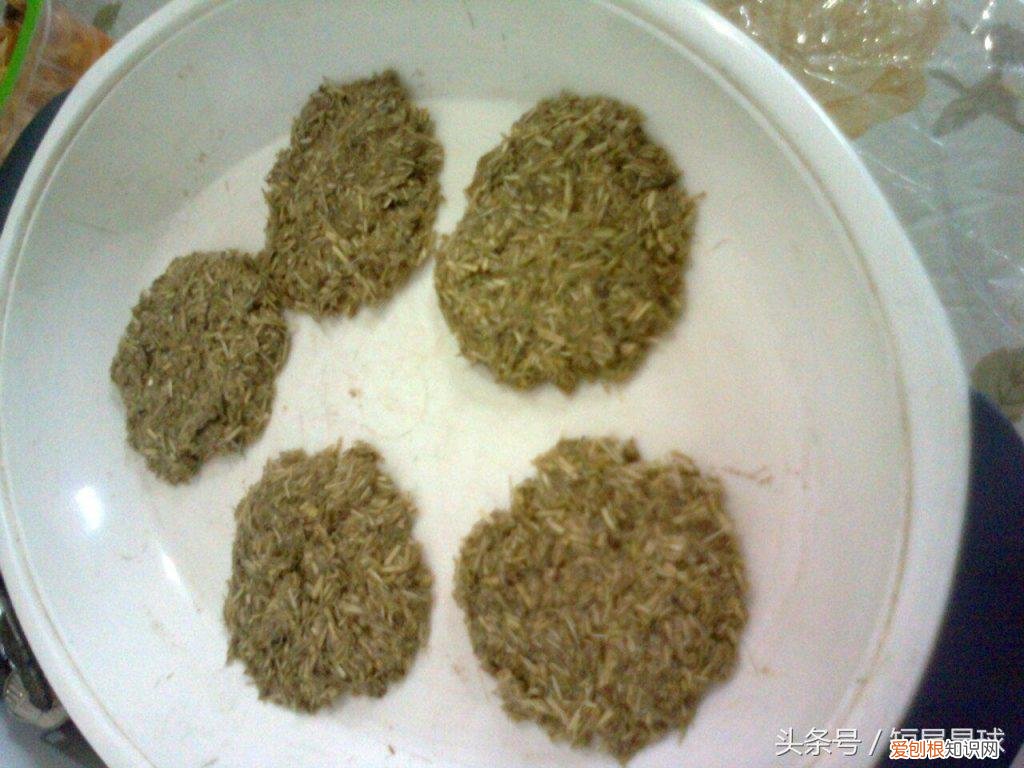 兔子草饼怎么制作方法 ，兔子草饼可以代替草吗？