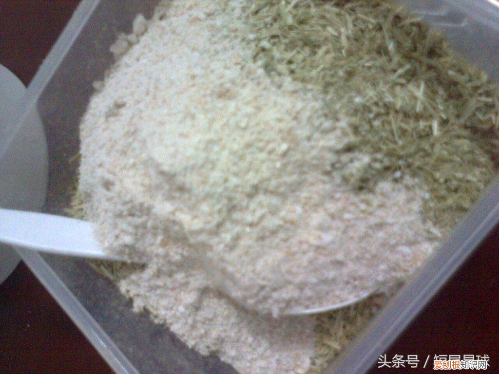 兔子草饼怎么制作方法 ，兔子草饼可以代替草吗？