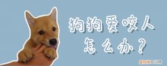 狗狗爱咬人怎么办，狗狗经常咬人怎么办