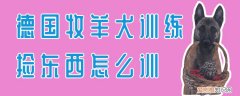 德国牧羊犬训练捡东西怎么训，德国牧羊犬怎么训练它