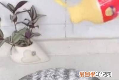 怎么清洗炒锅底部的油污 ，炒锅底油垢怎么去除？