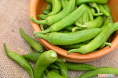 中国最好的辣椒种子，中国八大辣椒品种？