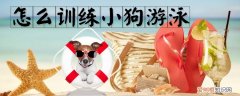 怎么训练小狗游泳，如何训练狗狗游泳