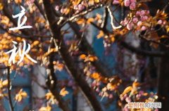 2023年立秋图片大全 立秋祝福语