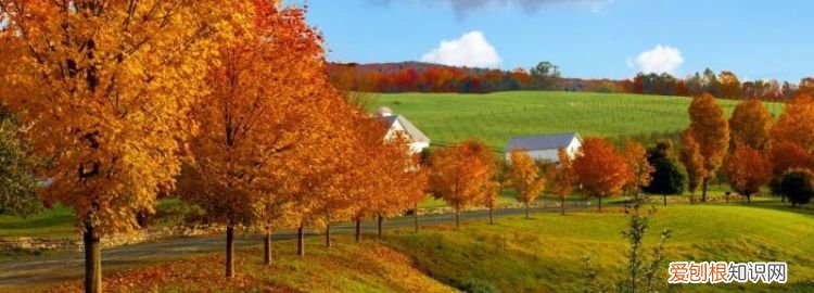秋天是什么颜色为什么十个字形容呢 ，秋天是什么颜色为什么简单？