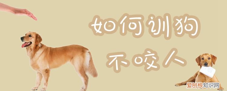 如何训狗不咬人，怎么训练狗狗不咬人?