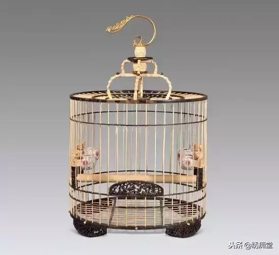 鸟笼保养视频教程全集 ，鸟笼保养视频教程大全？