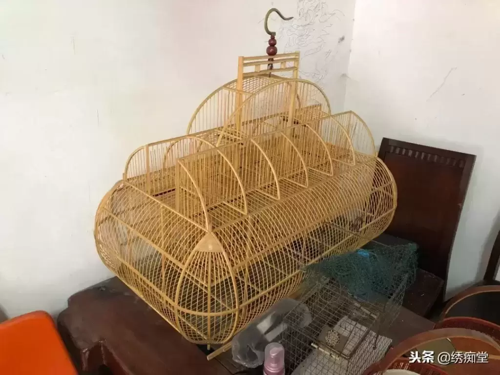 鸟笼保养视频教程全集 ，鸟笼保养视频教程大全？