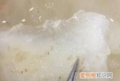 燕窝清洗方法步骤 ,燕窝如何清洗才干净?