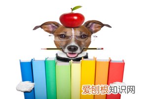 适合小孩子吃的零食有哪些 ，适合小朋友吃的零食有哪些