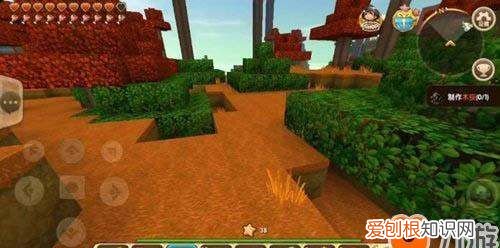 迷你世界珍木在哪里,迷你世界针叶林在哪里