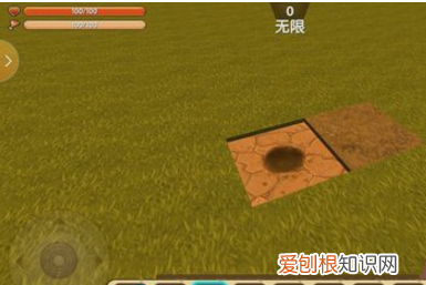 迷你世界珍木在哪里，迷你世界针叶林在哪里