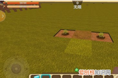 迷你世界珍木在哪里，迷你世界针叶林在哪里