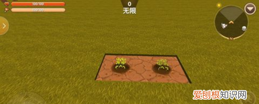 迷你世界珍木在哪里，迷你世界针叶林在哪里