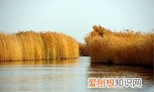 新疆巴州有什么旅游景点好玩 ，新疆巴州有什么旅游景点可以玩？