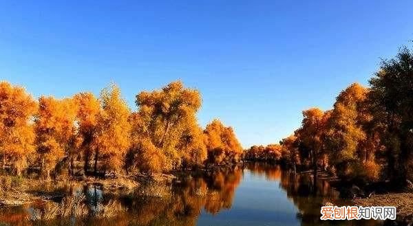 新疆巴州有什么旅游景点好玩 ，新疆巴州有什么旅游景点可以玩？