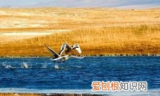新疆巴州有什么旅游景点好玩 ，新疆巴州有什么旅游景点可以玩？
