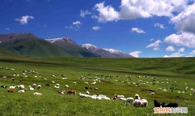 新疆巴州有什么旅游景点好玩 ，新疆巴州有什么旅游景点可以玩？