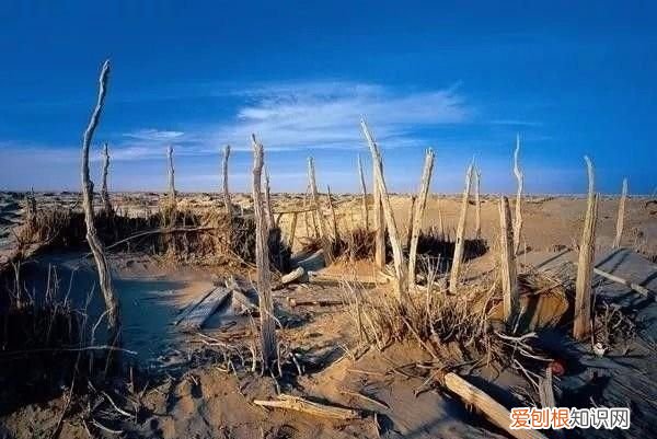 新疆巴州有什么旅游景点好玩 ，新疆巴州有什么旅游景点可以玩？