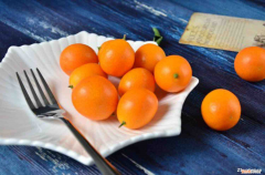 金桔盆栽适合放在室内养吗?，过年金桔盆栽怎么摆放？