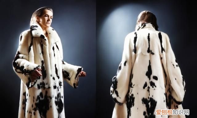 貂皮会过时吗 ，貂皮大衣还能买吗？