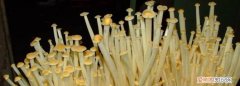 金针菇是药水泡出来的吗 ，怎样辨别金针菇是否有化学品？