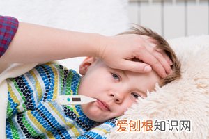 薄荷叶小孩可以吃吗,孩子可以吃薄荷叶吗?