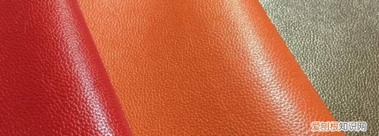 皮燕子是什么啊 ，皮燕子是啥吃的？