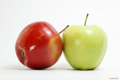 栀子果实图片 植物图，果实的类型？