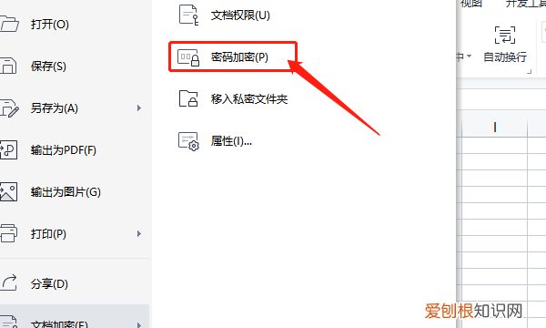 Excel有密码怎么解除，excel设置了密码怎样解除代码