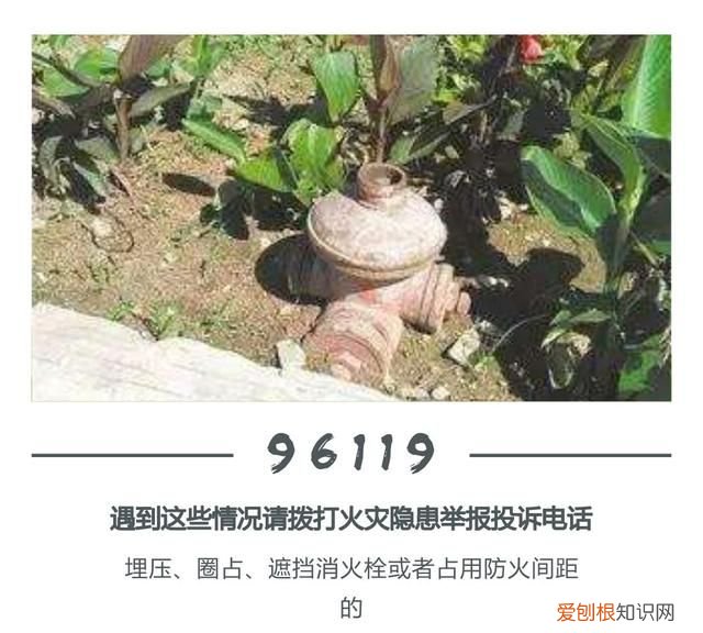 119报警电话拨打4步骤