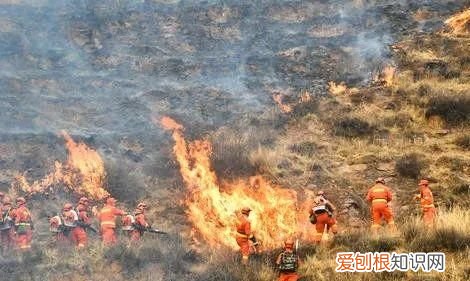 119报警电话拨打4步骤