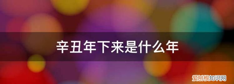 辛丑年后面11个什么年 ，辛丑下一年是哪一年？