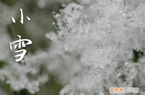 2023小雪节气发朋友圈的暖心文案 小雪暖心又好听的祝福语