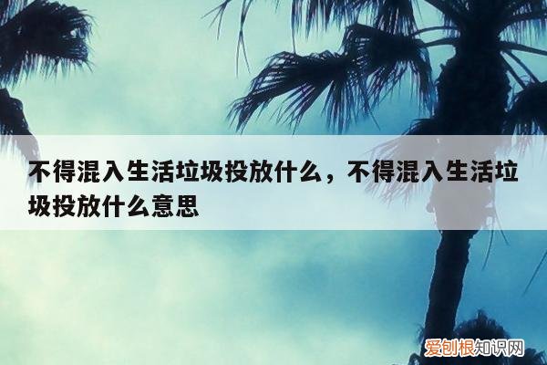 不得混入生活垃圾投放什么，不得混入生活垃圾投放什么意思