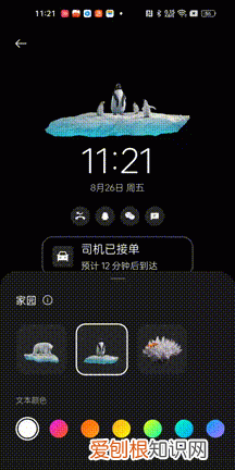 oppocoloros 13体验如何