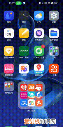 oppocoloros 13体验如何