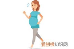 孕妇早餐可以吃什么 ，孕妇早餐可以吃什么粉