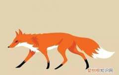 多变的狐狸告诉我们什么道理
