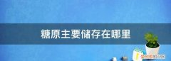 糖原先储存在肝脏还是肌肉 ，糖原储存到人体哪里？